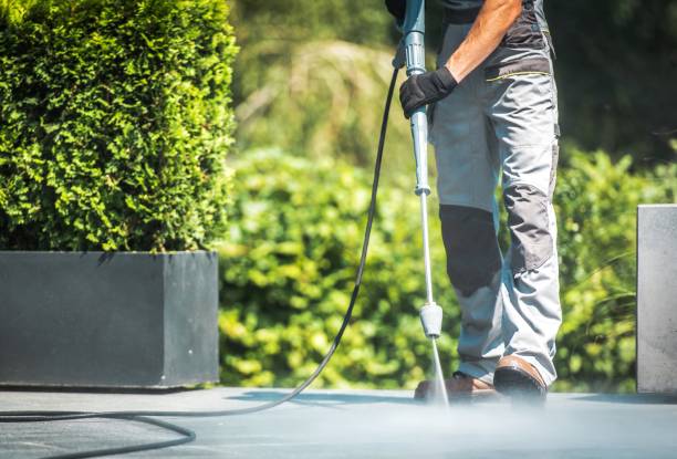 Reliable St Hedwig, TX  Pressure Washing Services Solutions