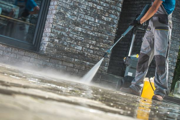 Best Graffiti Removal  in St Hedwig, TX